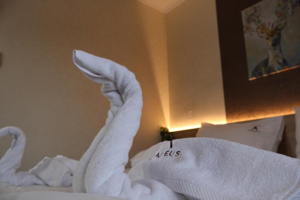 Amadeus Hotel